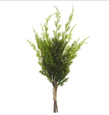 16" Cypress Pick Bundle
