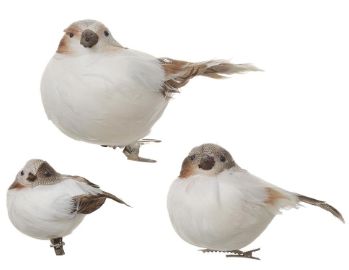 bird w/clip S