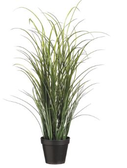 36" Protect Tall Grass