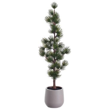 21" Spruce Tree in Plastic