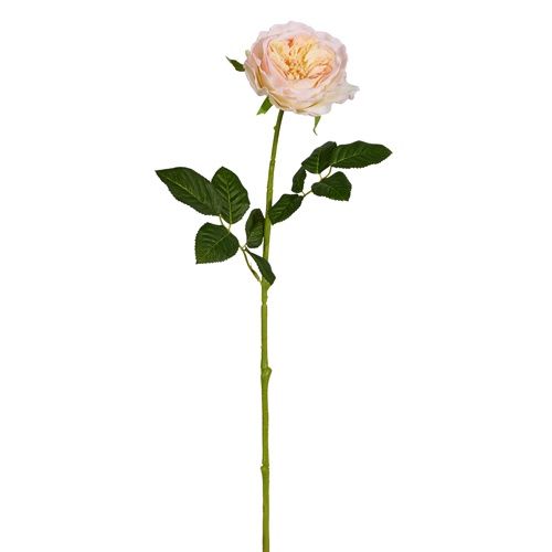 Peach Rose Stem RT 25&quot;