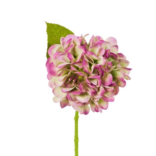 Green &amp; Purple Hydrangea  RT 13&quot;