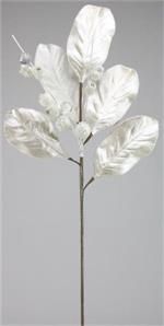 Magnolia Leaf/Berry Spray 32L