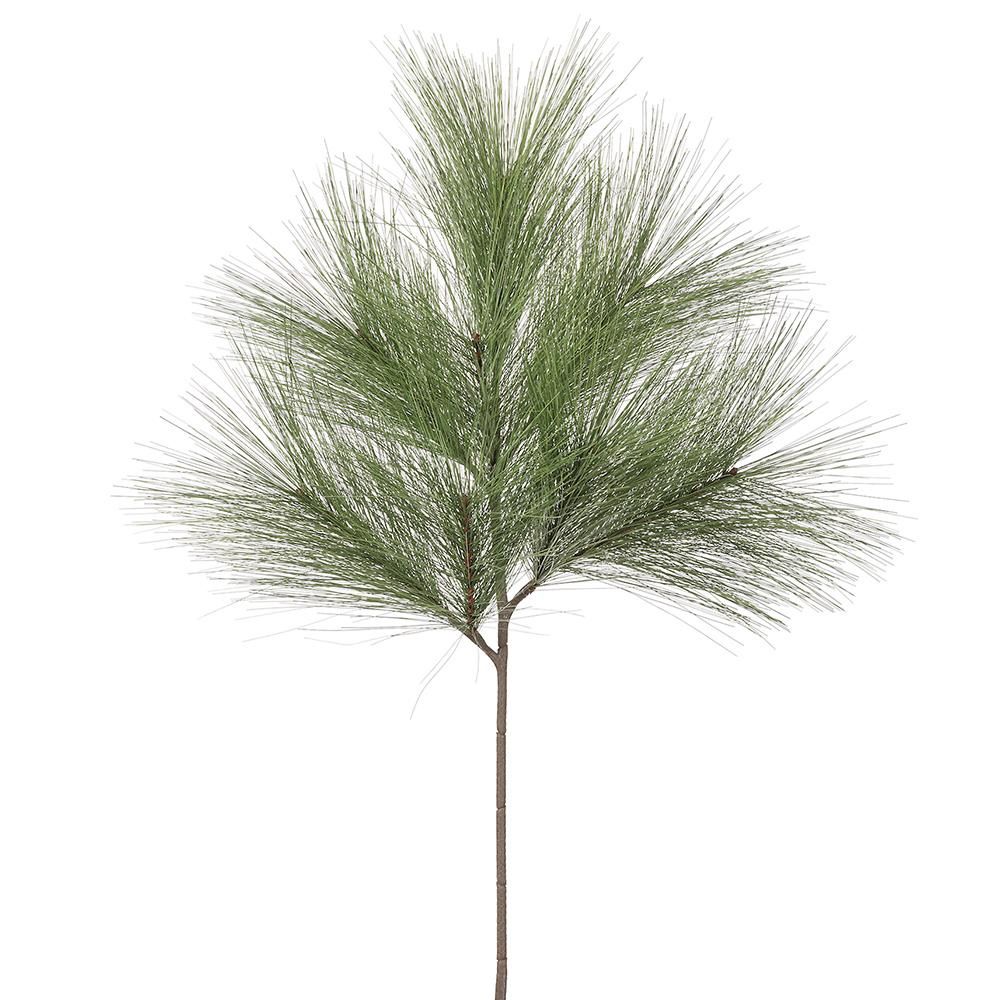 Long Needle Pine Spray