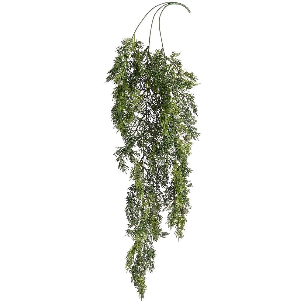 Juniper Hang Bush GR