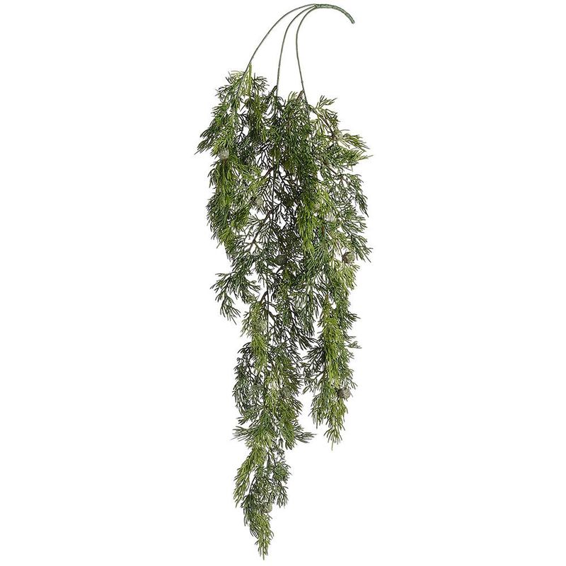 Juniper Hang Bush GR