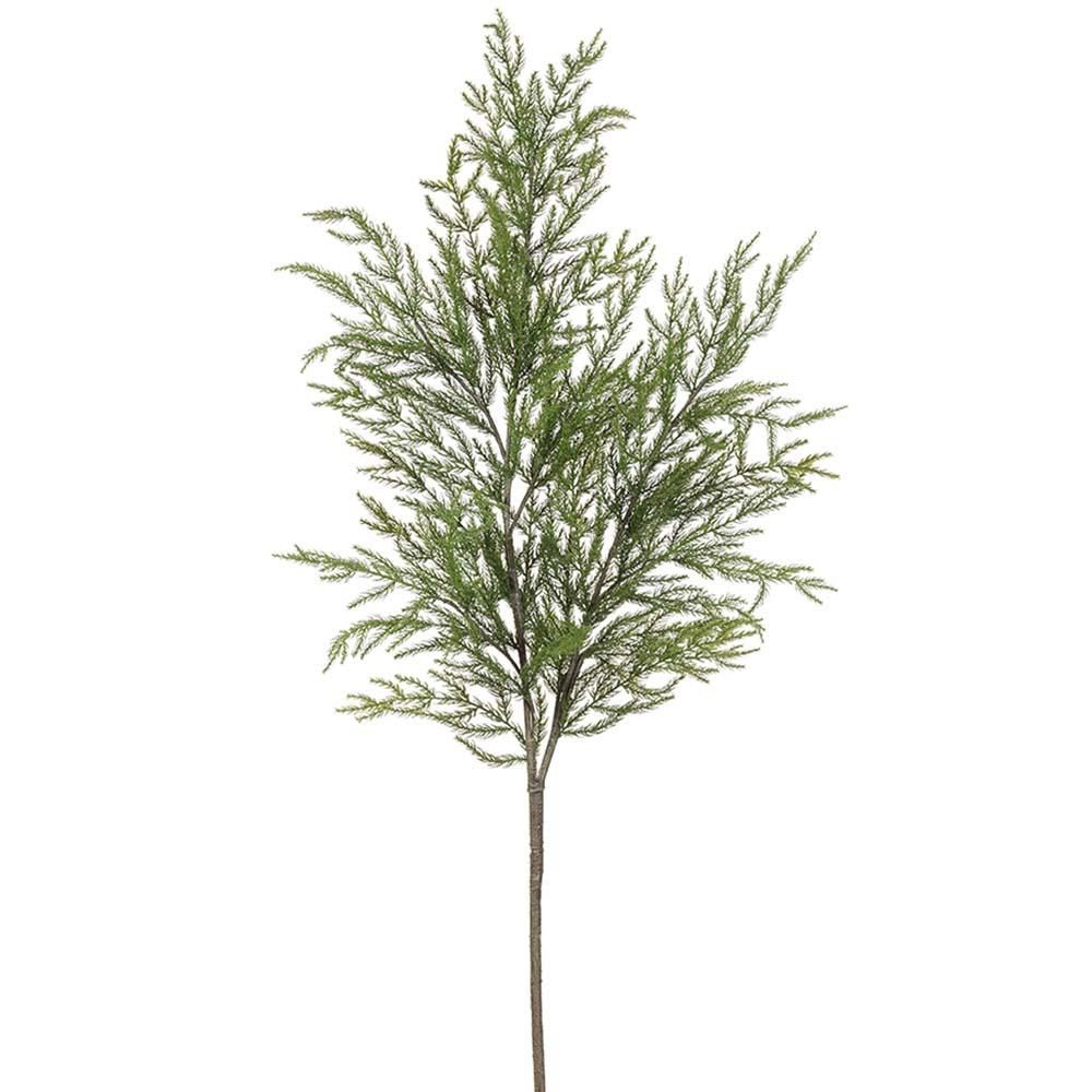 Spruce Spray GR