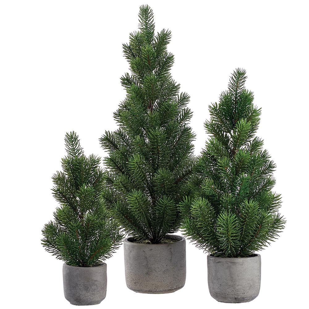 Pine Tree Cement Pot SM