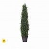 CYPRESS CONE TOPIARY 36"