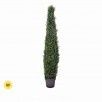 Cypress Cone Topiary 48"