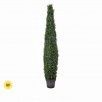 Cypress Cone Topiary 60"