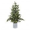 Potted Norway Spruce Tree 48"
