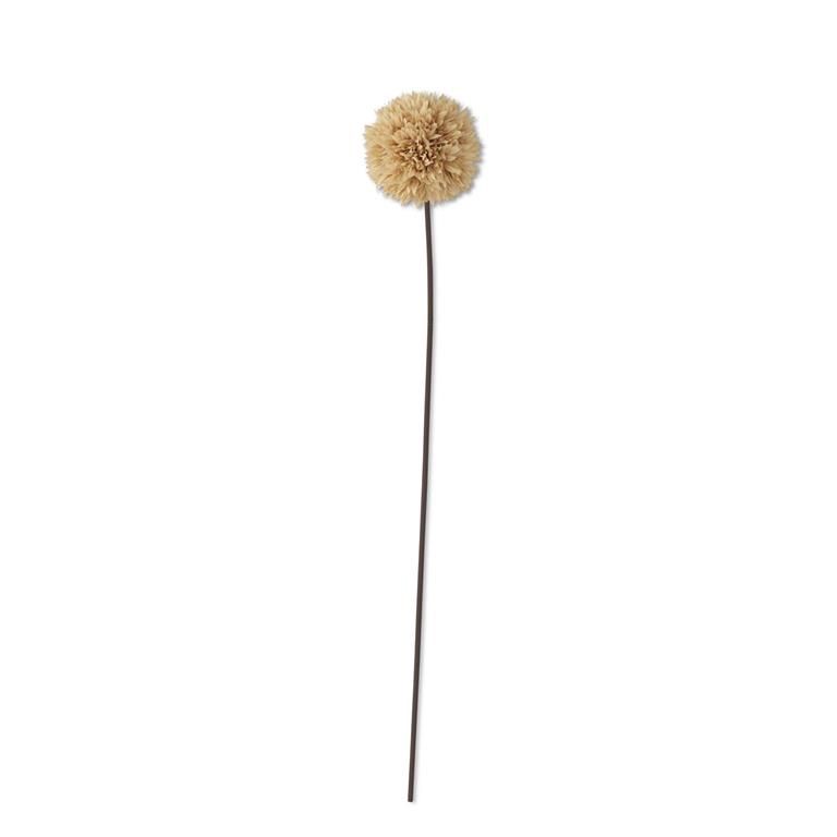 26" Tan Allium Stem
