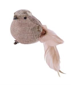 Feather Chubby Bird