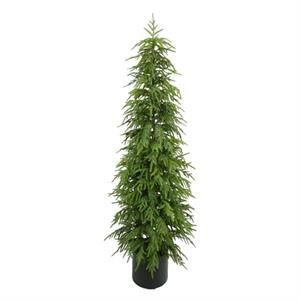 Norfolk Pine Tree 70"