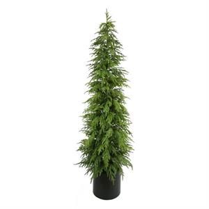 Norfolk Pine Tree 82"