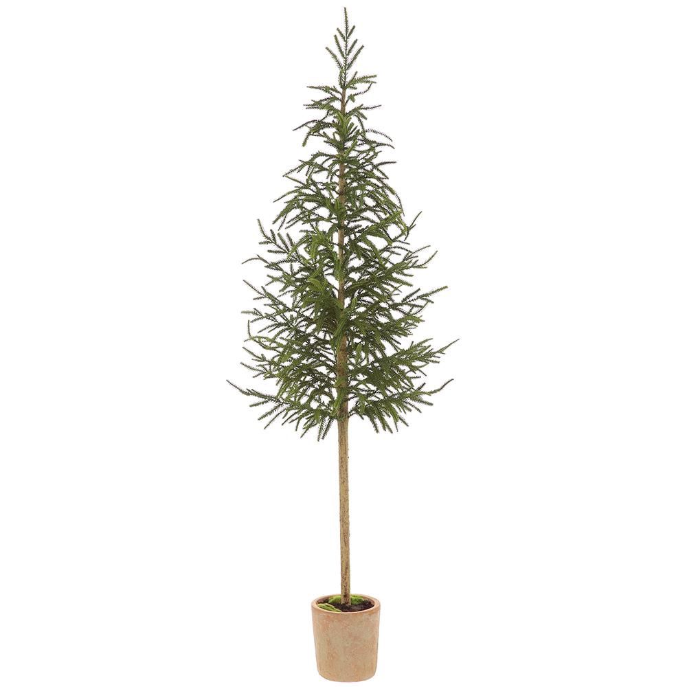 57" Cypress Topiary Tree in Mgo Pot