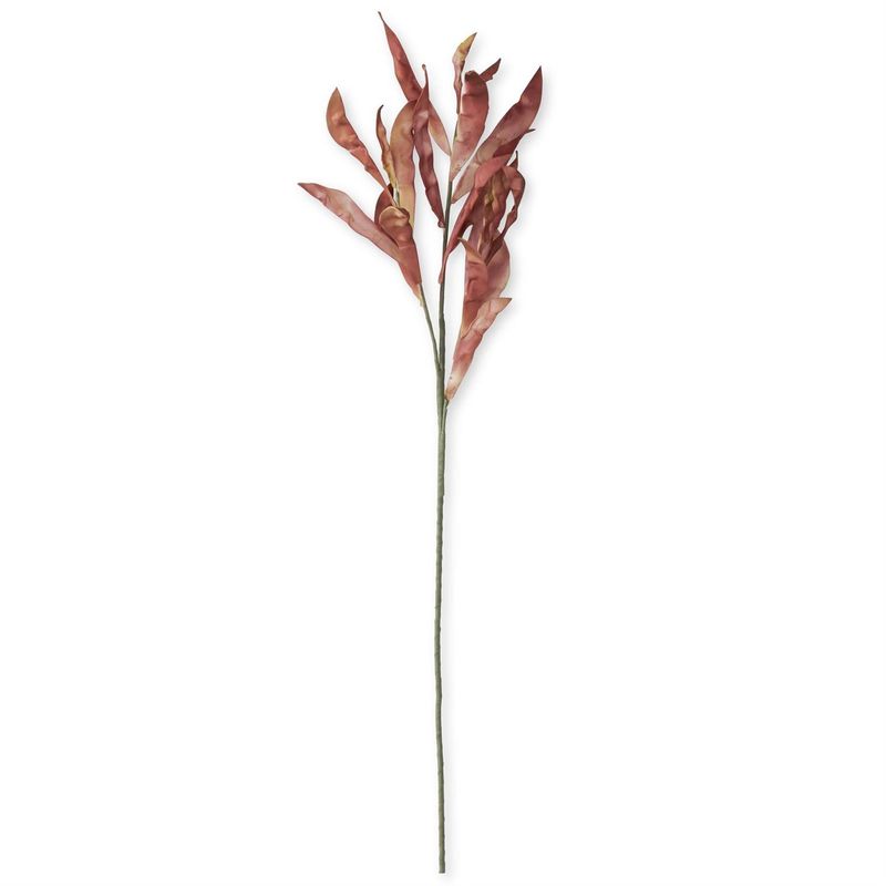 42" Burgundy Eva Pod Spray