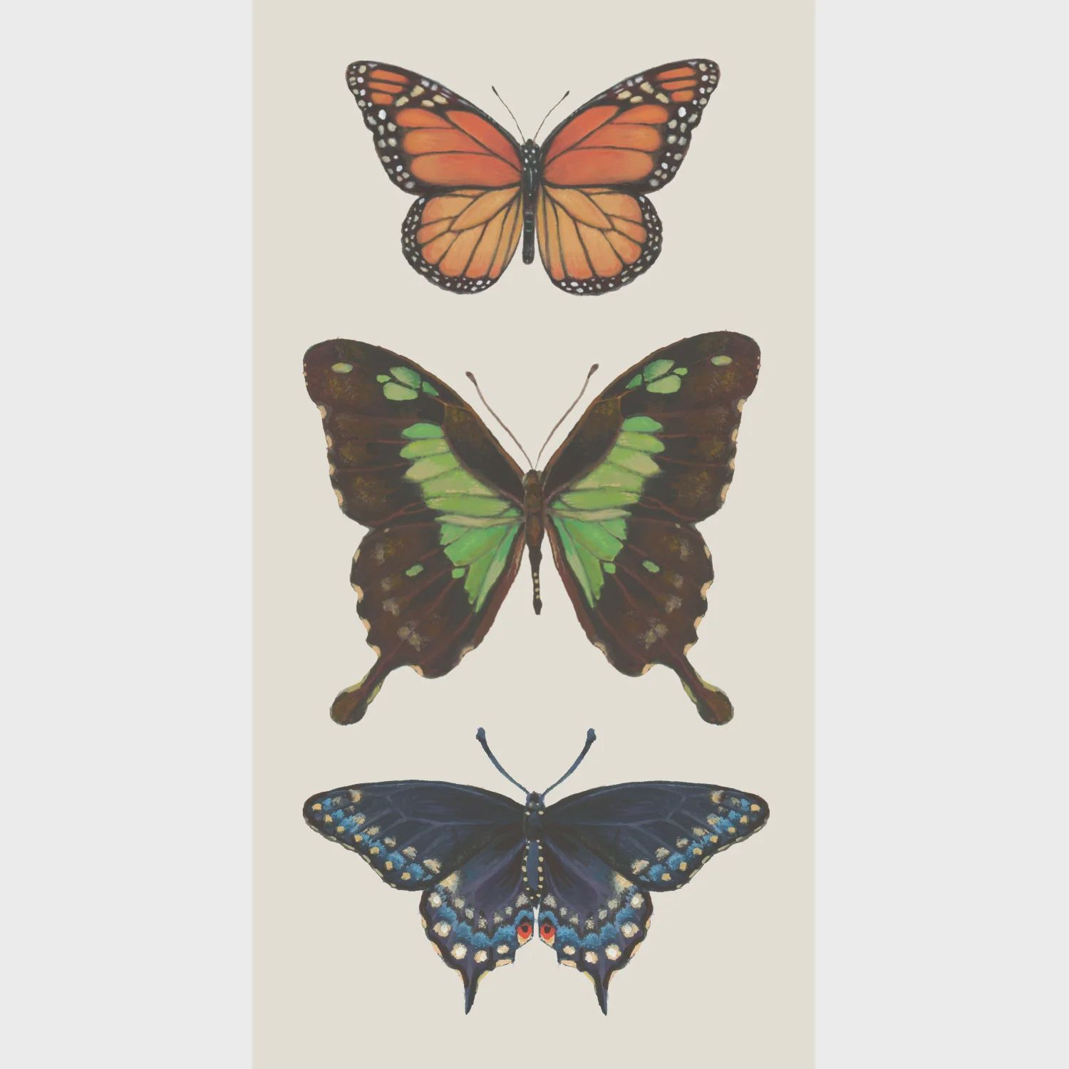 Butterfly Cocktail Napkin