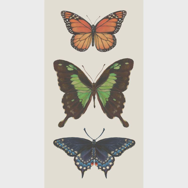 Butterfly Cocktail Napkin