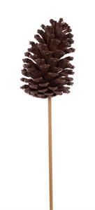 3"-3.75"L PINECONE PICK