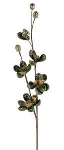 34"L WILD MINI MAGNOLIA SPRAY