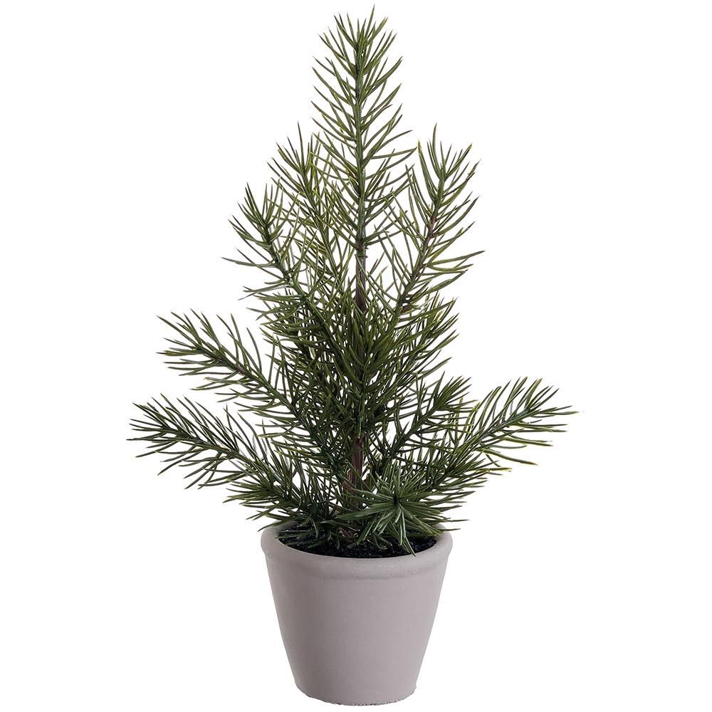 10"PINE TREE IN CEMENT POT