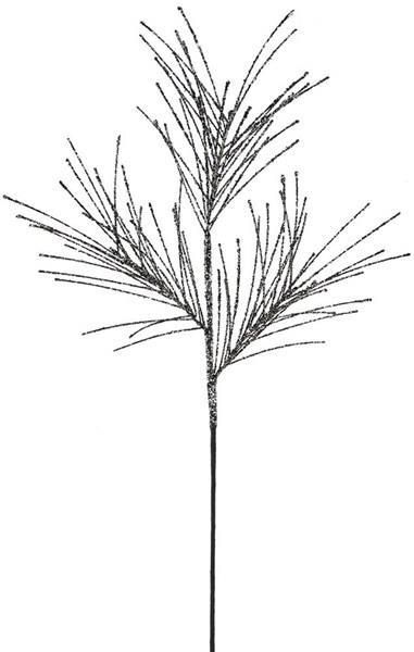 31"pine spray/pewter