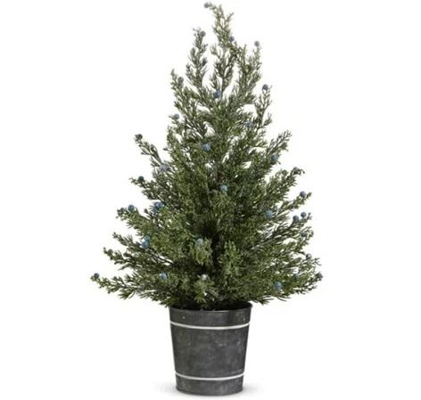 Tree in Galv. Bucket-sm