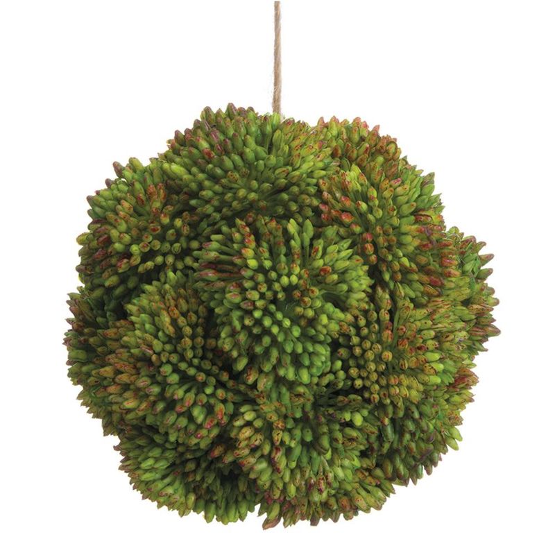4" Sedum Orb  Green