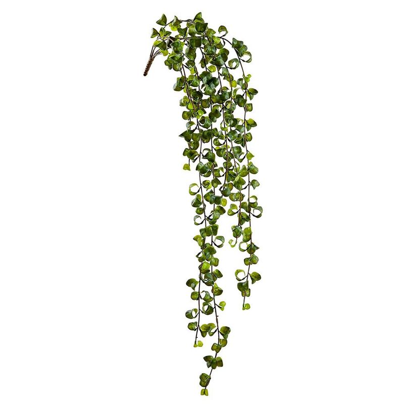 36" Curly Leaf Hang Vine  Grn.