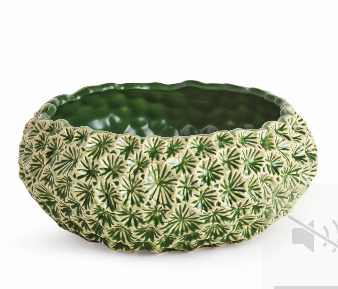 Sm Aster Bowl