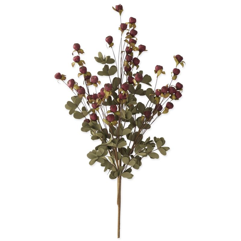 24" Burgundy Sleepy Silene Bush