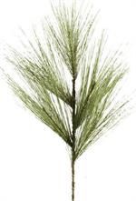 STIFF PINE SPRAY