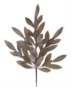 WASHED BAY LEAF SPRAY