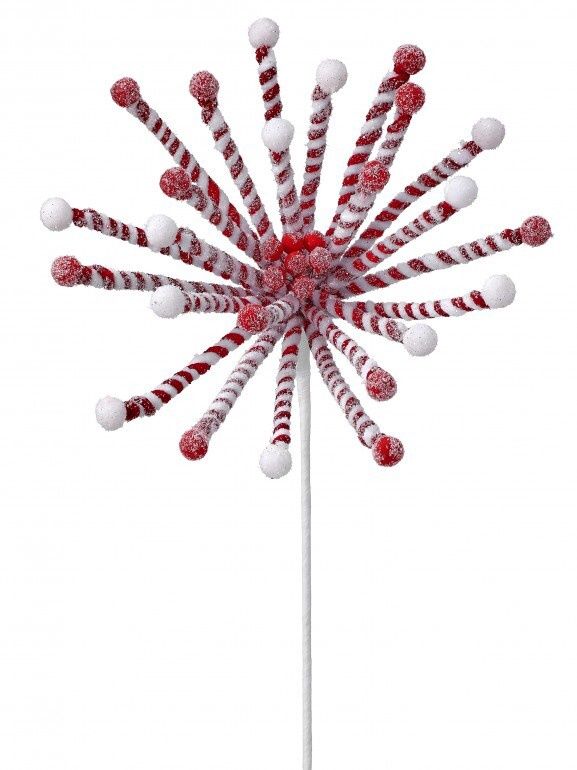 24" PEPRMNT STICK POINSETTIA HDY