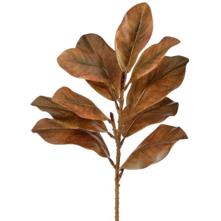 23" Autumnal Magnolia Spray, Toffee
