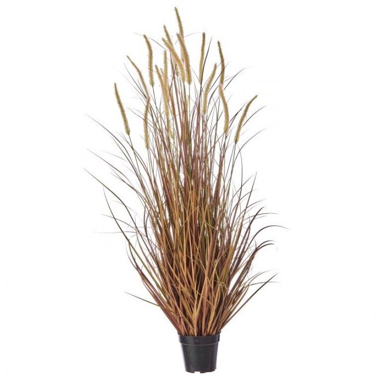 48" Potted Autumn Fountain Plume Grass Burgundy