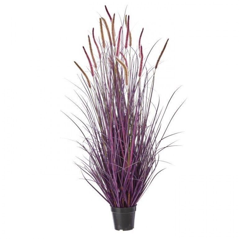 48" Potted Autumn Fountain Plume Grass Plum