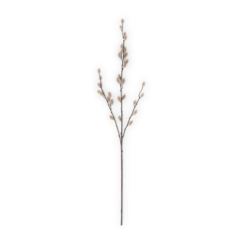 33" Tan Pussy Willow Stem