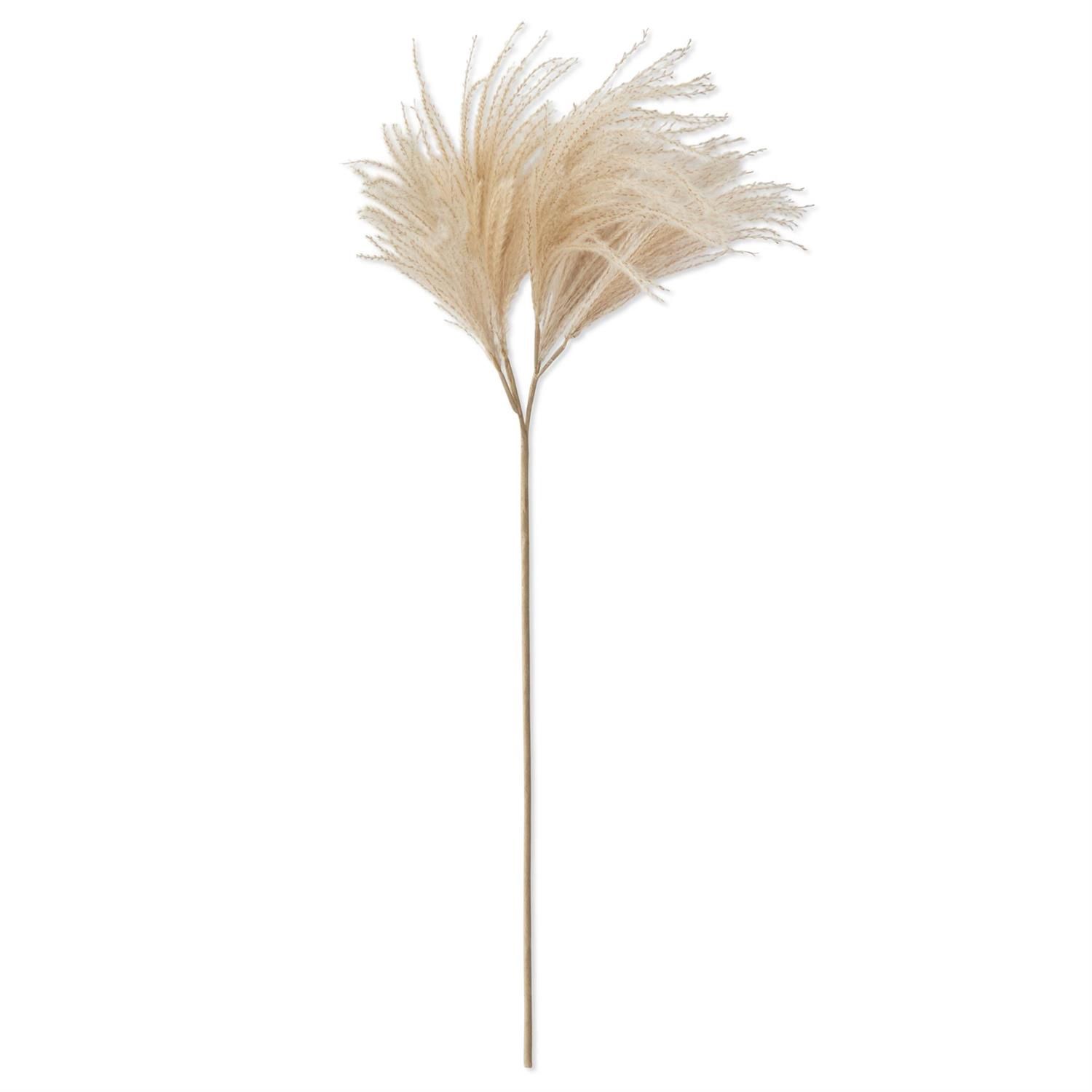 40" Cream Pampas Grass Spray