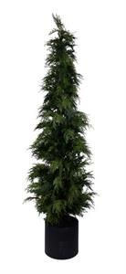 72" CEDAR POTTED TREE