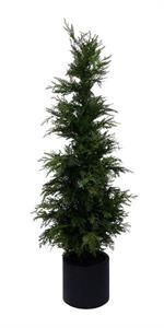 48" CEDAR POTTED TREE