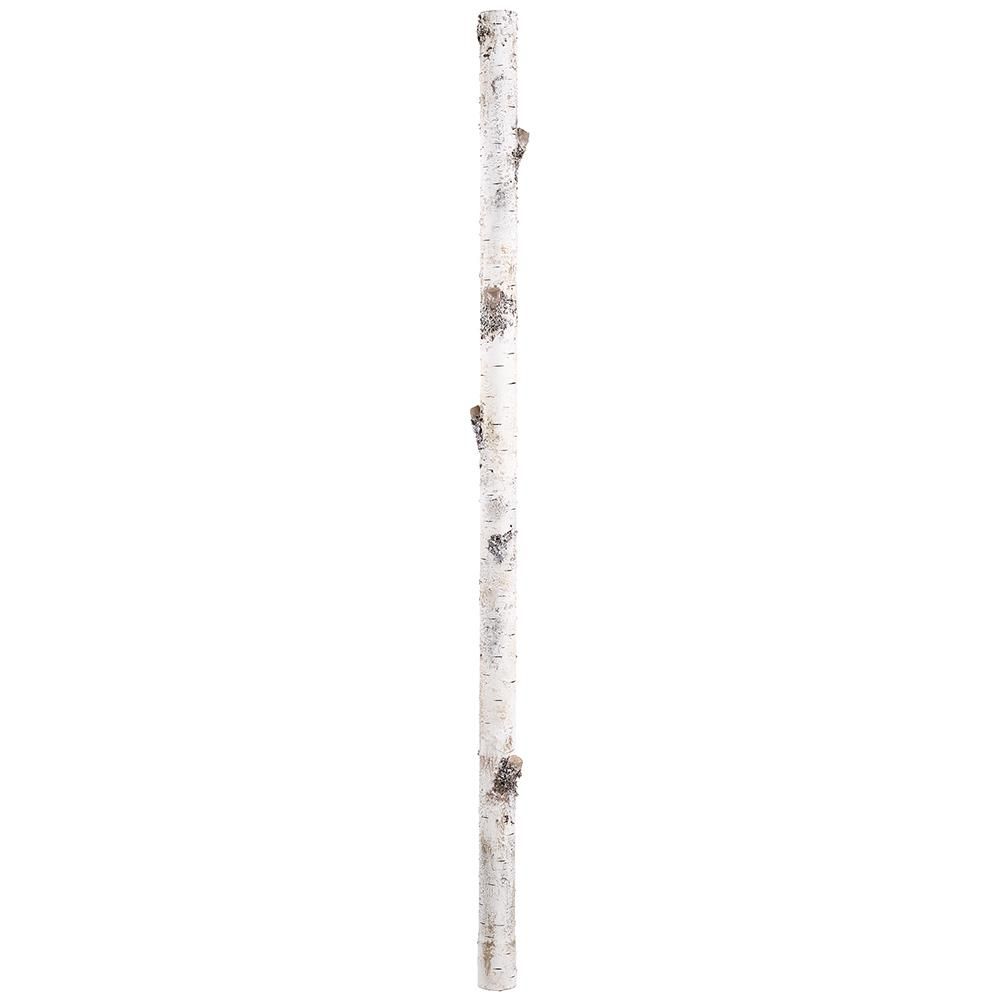 78.5" Birch Branch