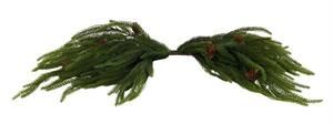 23" ST CRYPTOMERIA SWAG