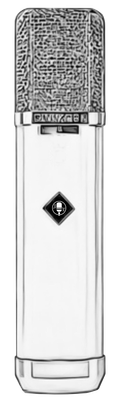 D-251