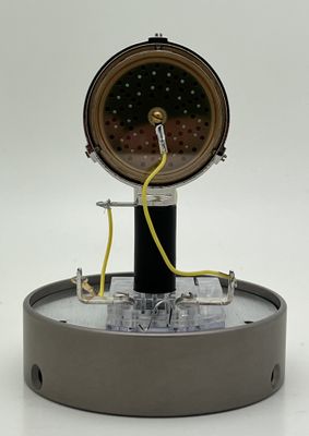 D7 Capsule