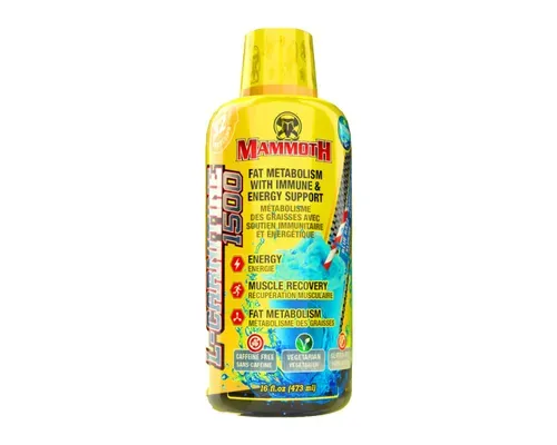 Mammoth L Carnitine / Blue Razz Slushie