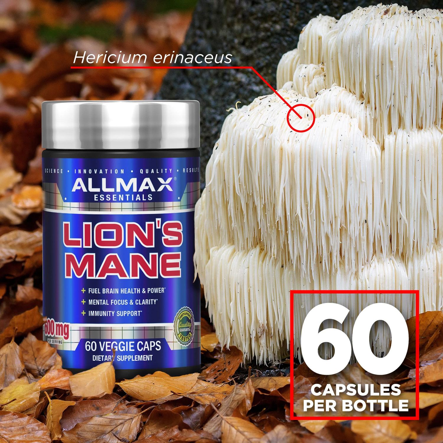 Lion&#39;s Mane / 60 Veggie Caps / Unflavored