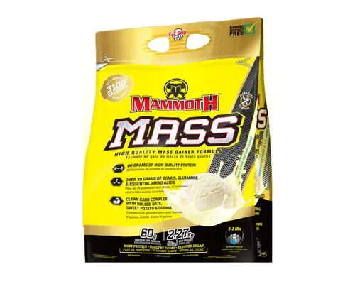 Mammoth Mass / Vanilla Ice Cream / 5LBS